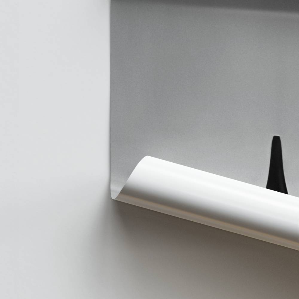 Poster Rêverie Spinning