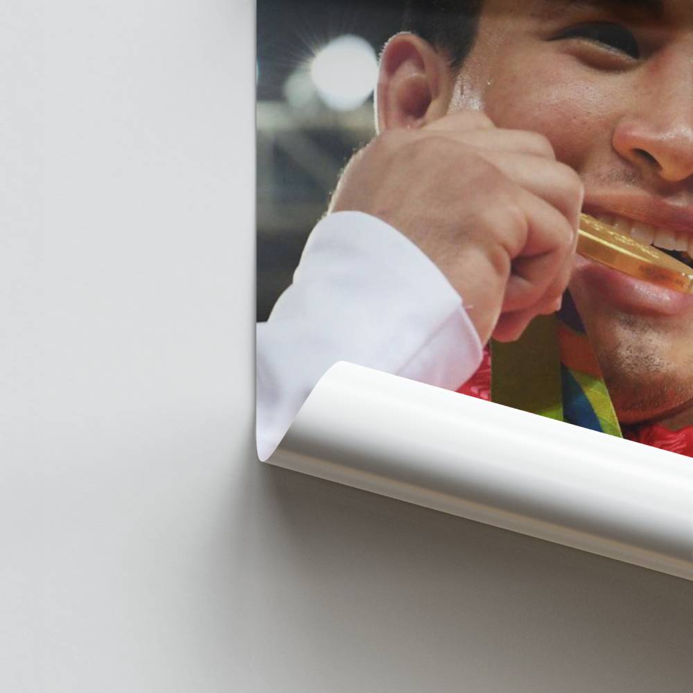 Poster Triomphe Judo