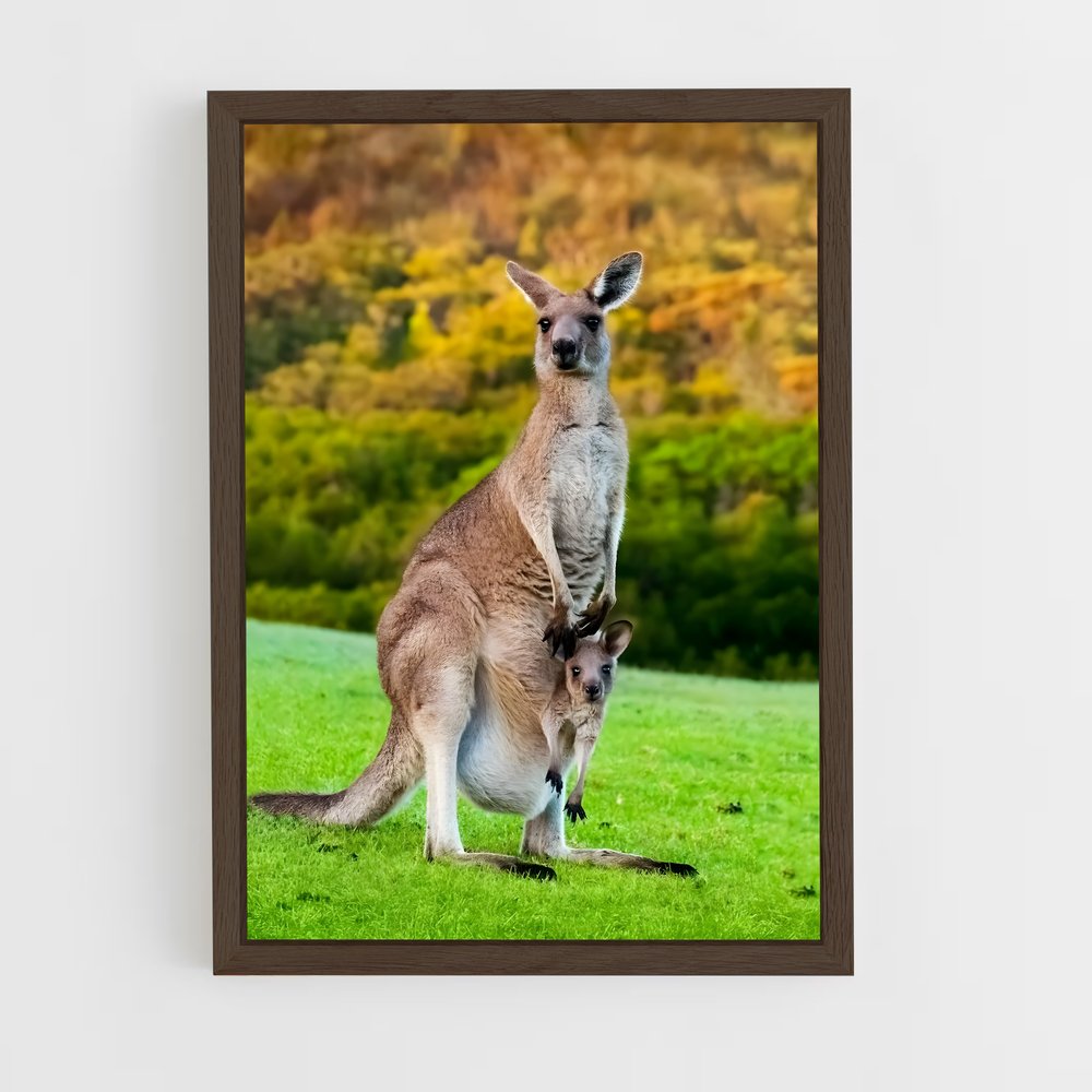 kangaroo-1 cadre Bois foncé