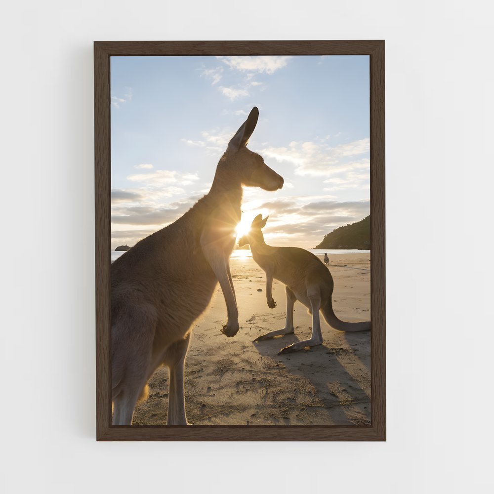 kangaroo-5 cadre Bois foncé