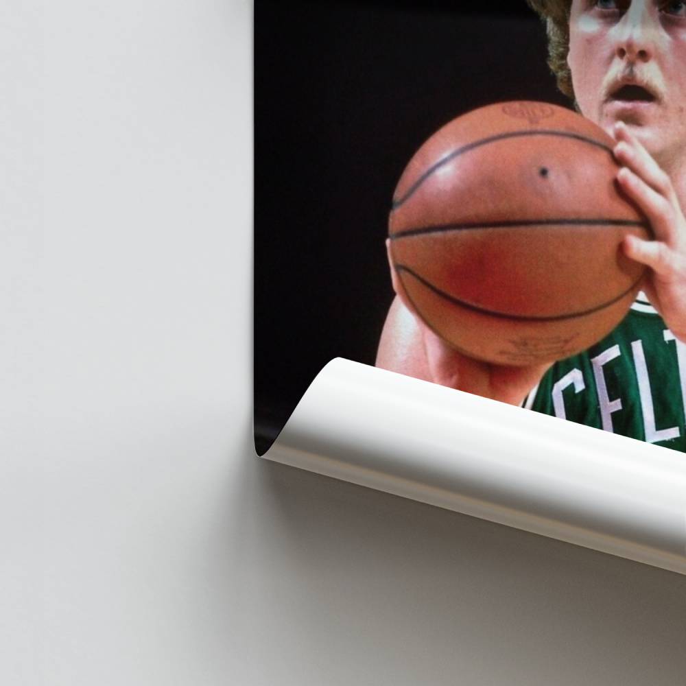 Poster Legend of the Court