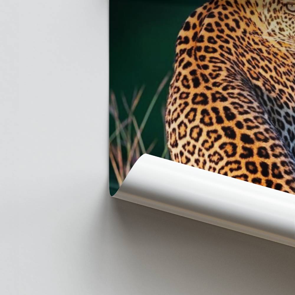 Poster Éclat Sauvage