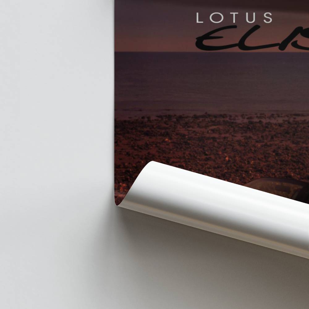 Poster Lotus Sunset Drive