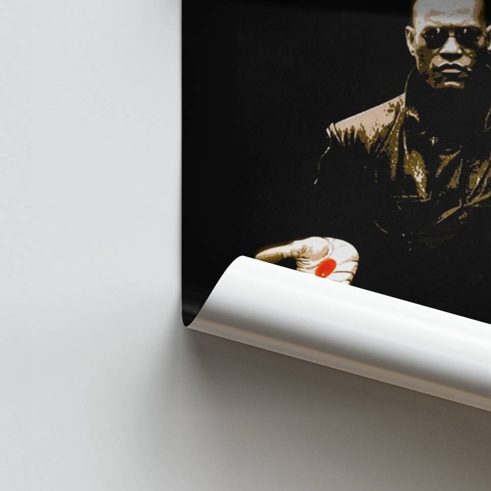 Poster Choix de la Matrice