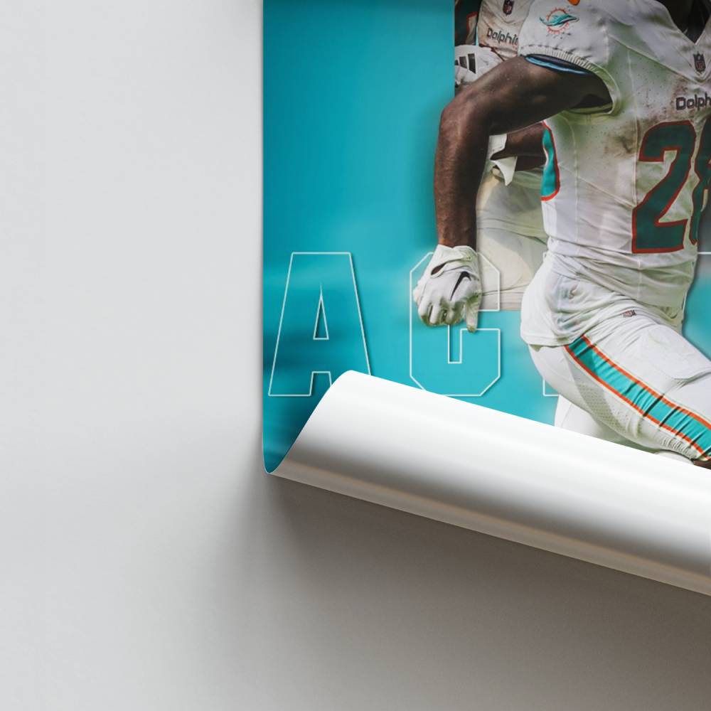 Poster Élan du Dauphin