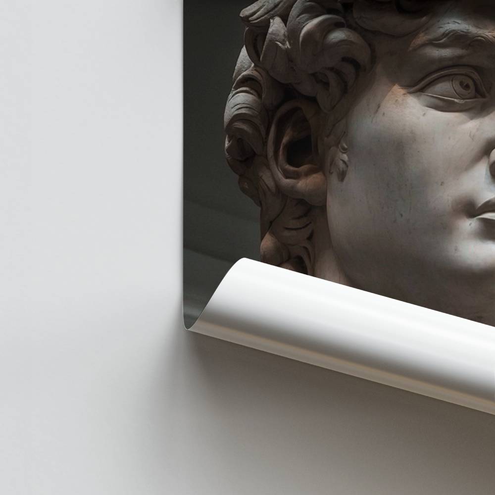 Poster David Élégance