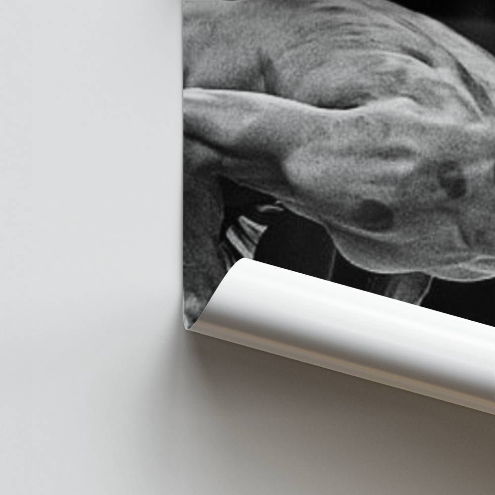 Poster Plongeon Élite