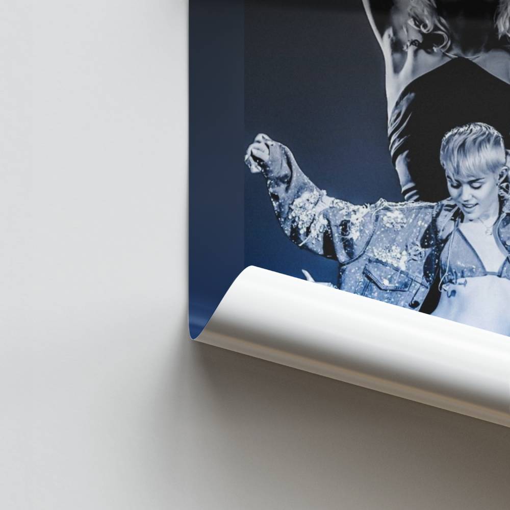 Poster Évolution Iconique