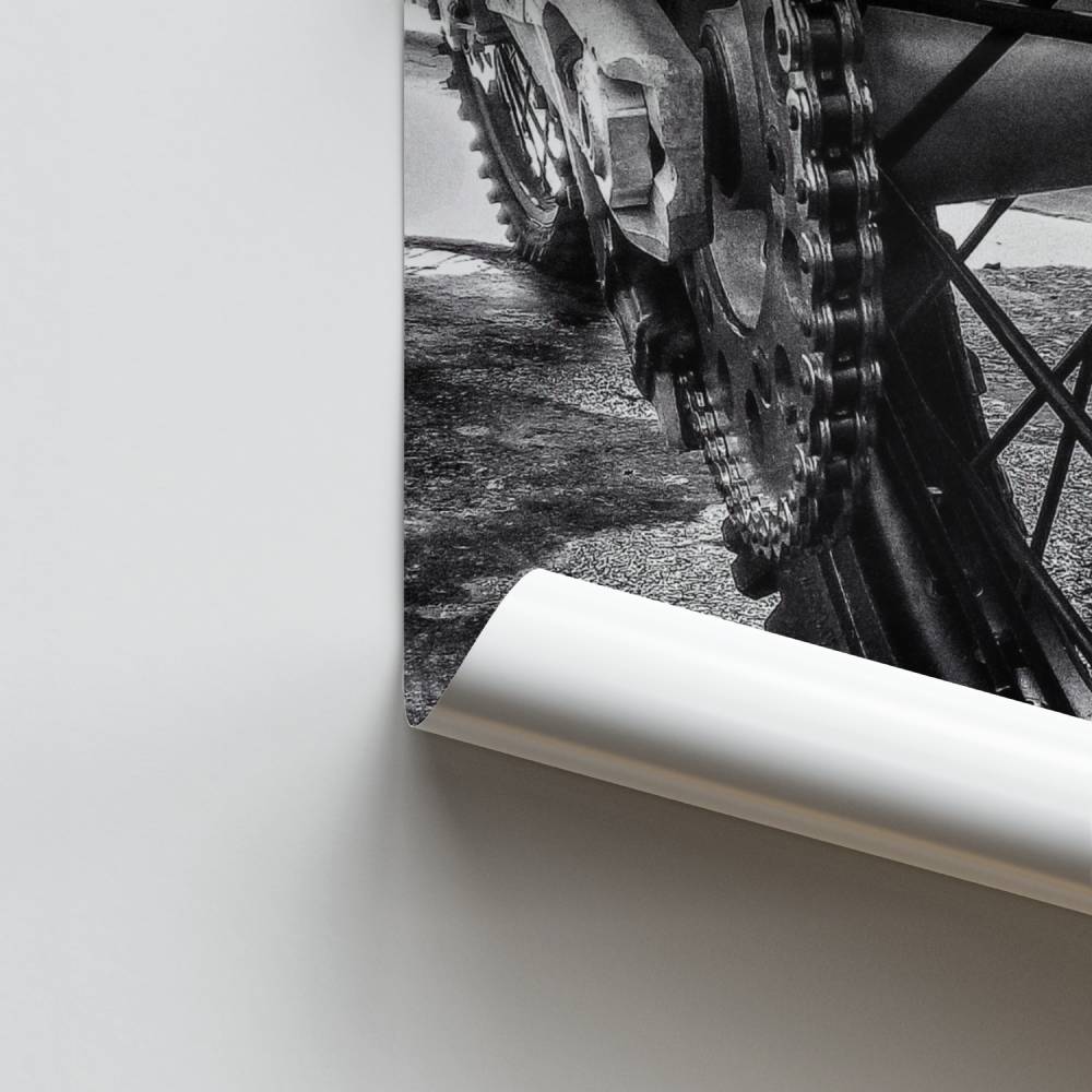 Poster Élan Rugissant