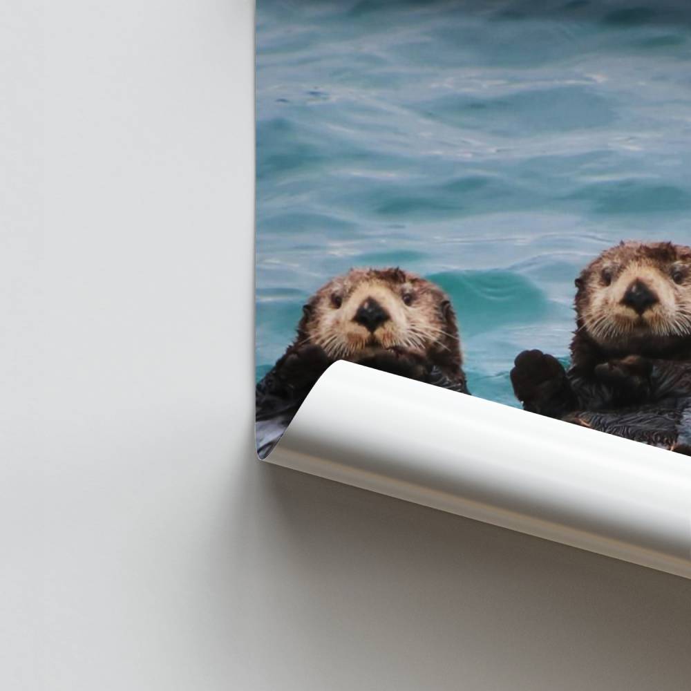 Poster Détente Loutres