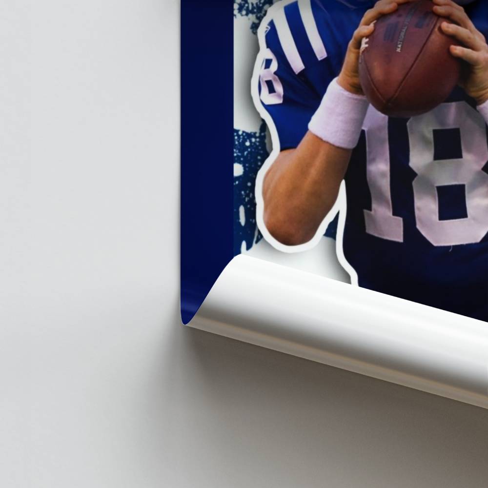 Poster Lancer Précis