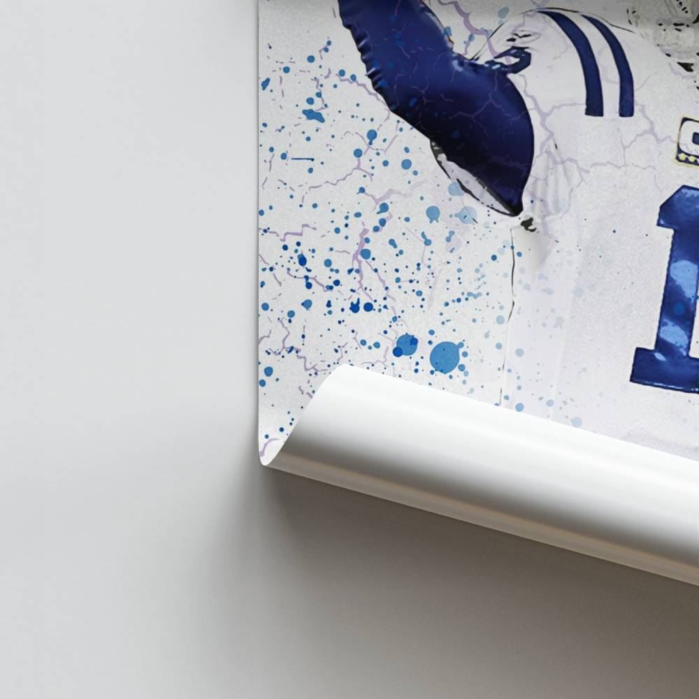 Poster Champion du Touchdown