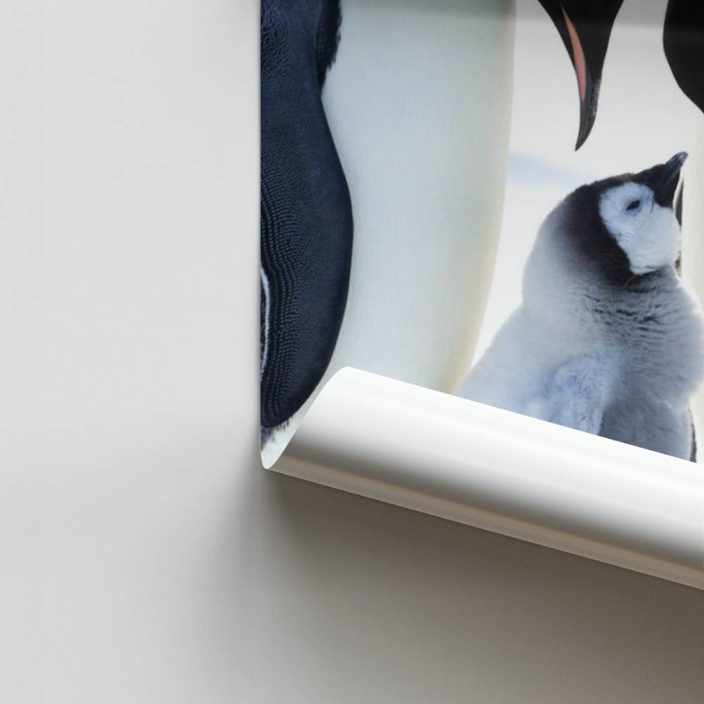 Poster Famille Impériale