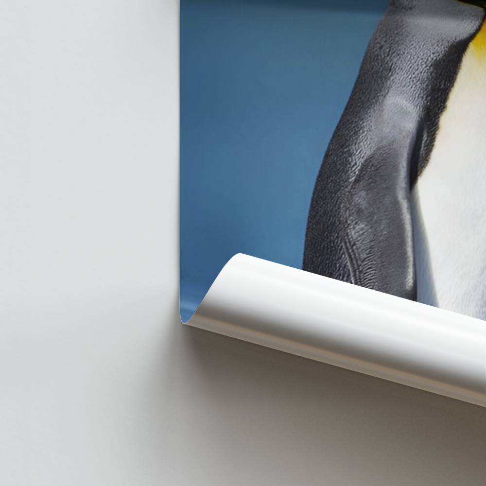 Poster Élévation du Roi