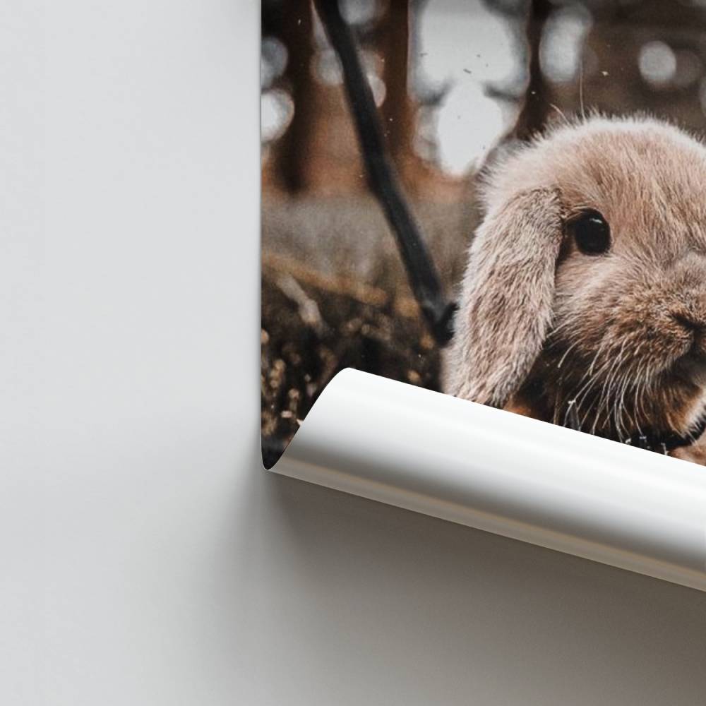 Poster Douceur Naturelle