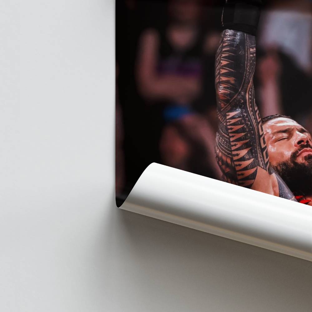 Poster Triomphe du Gladiateur