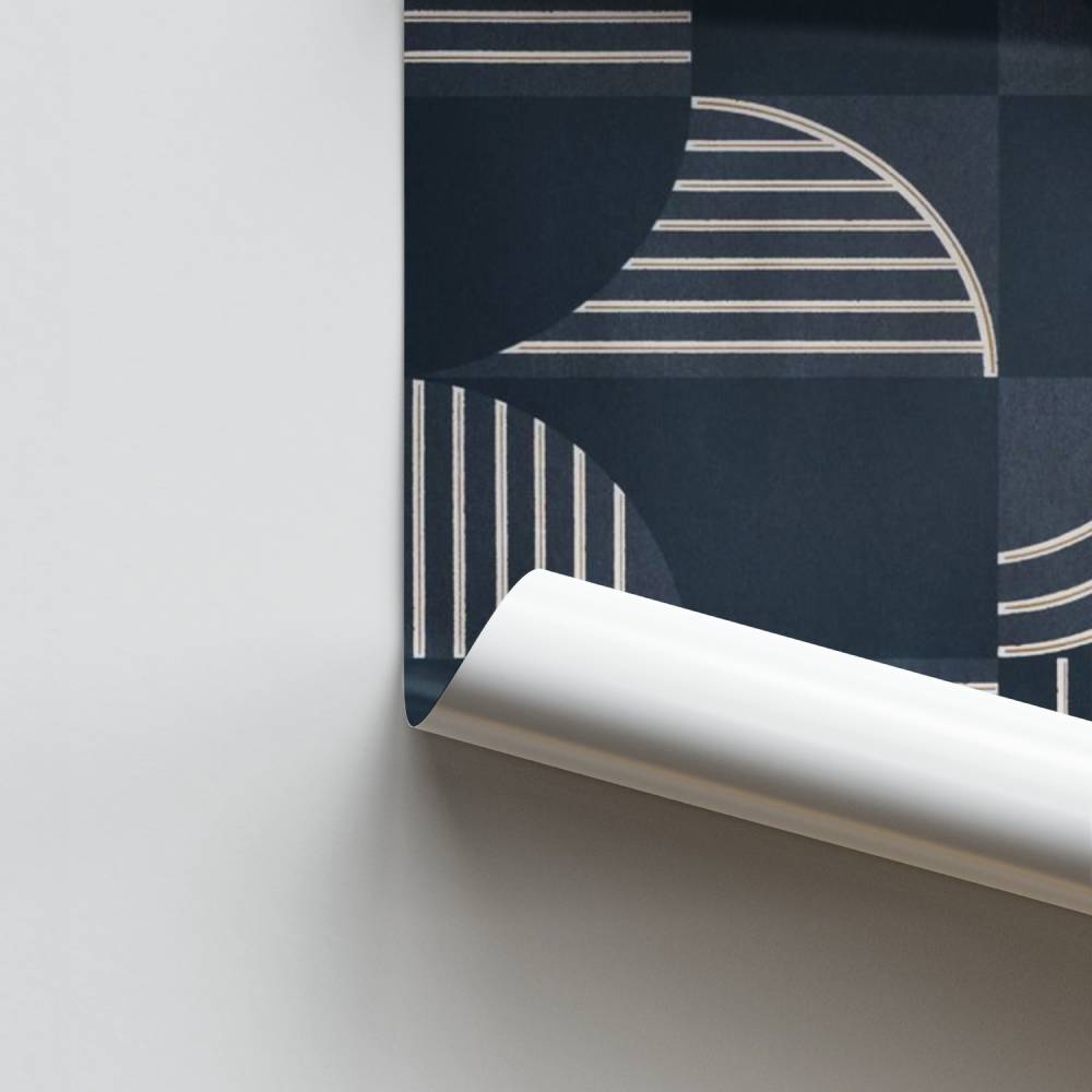 Poster Élan Nordique