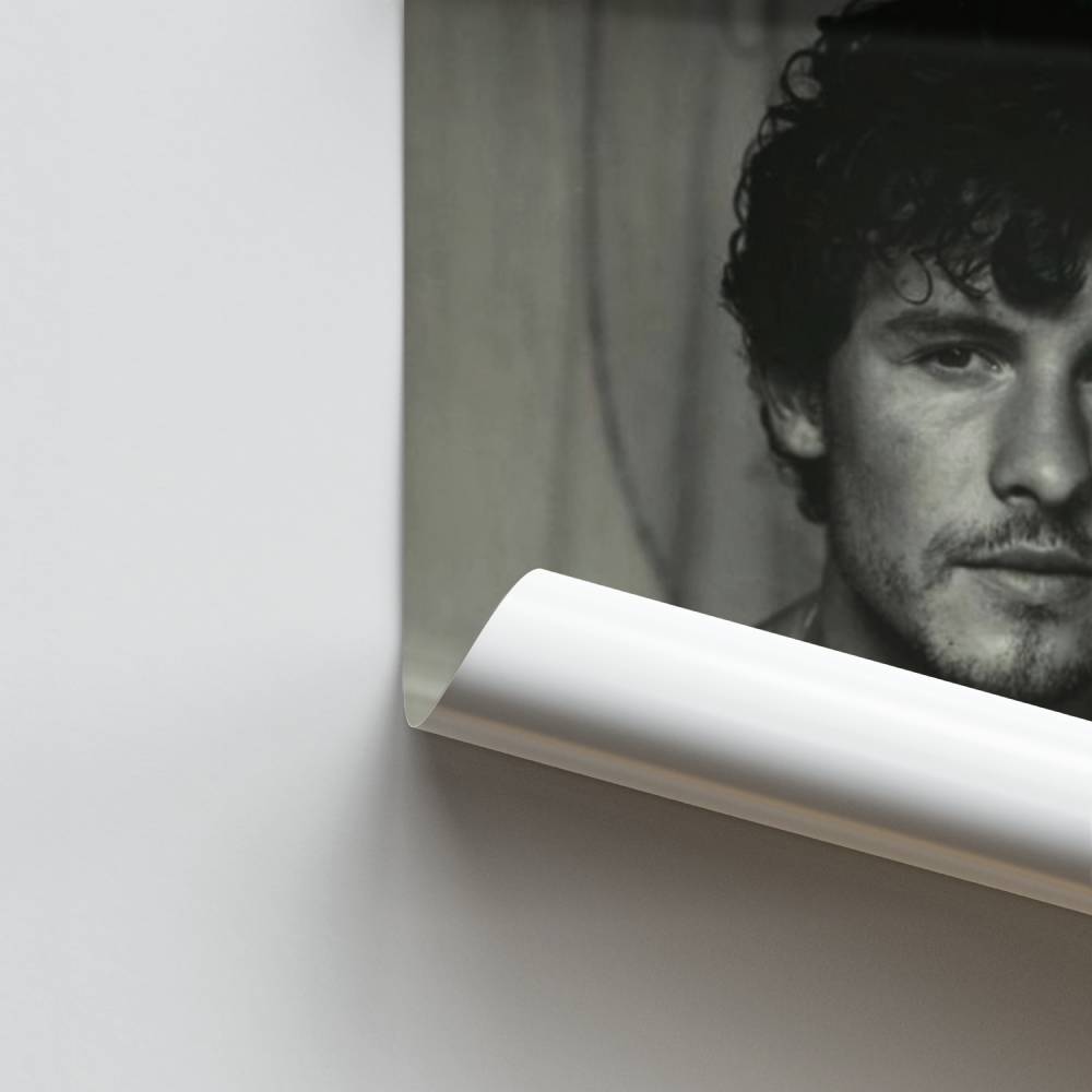 Poster Shawn Introspection