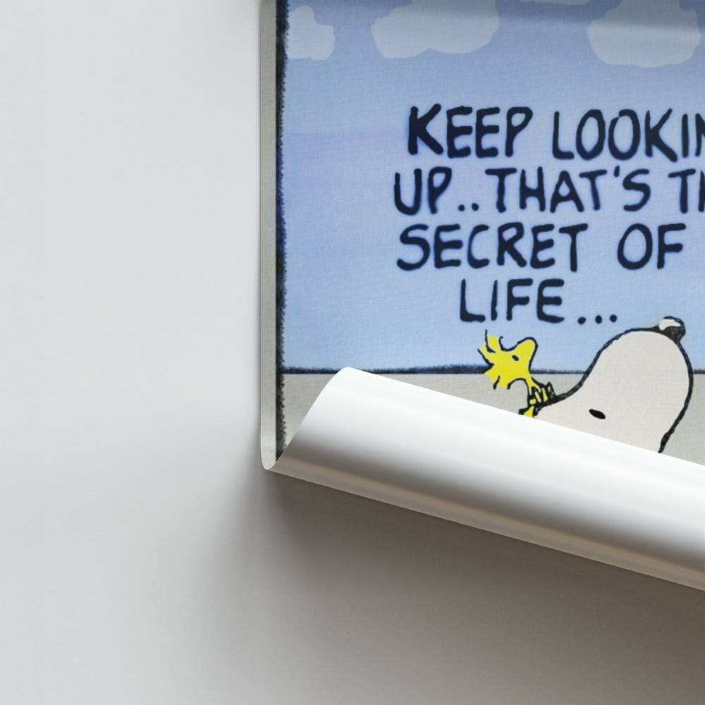 Poster Secret of Life