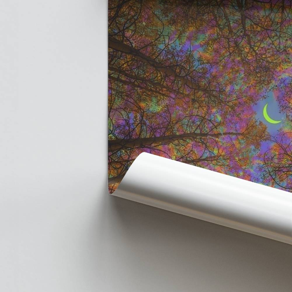 Poster Rêverie Lunatique