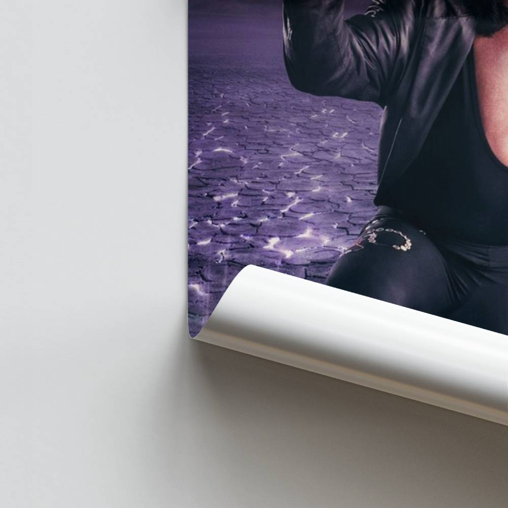 Poster The Shadow Rises