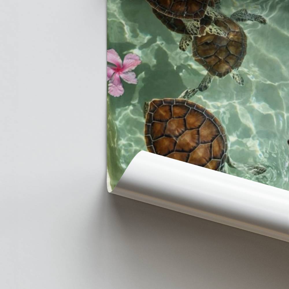 Poster Tortues Tropicales