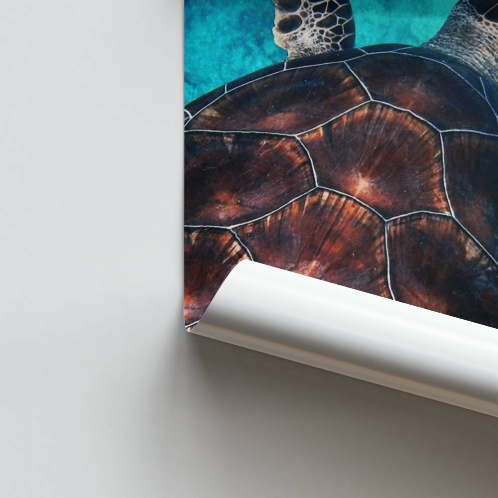 Poster Océan Sérénité