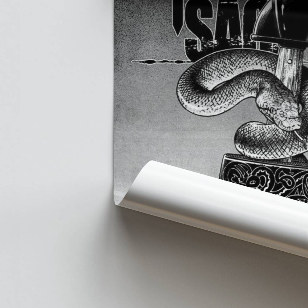 Poster Saga des Vikings