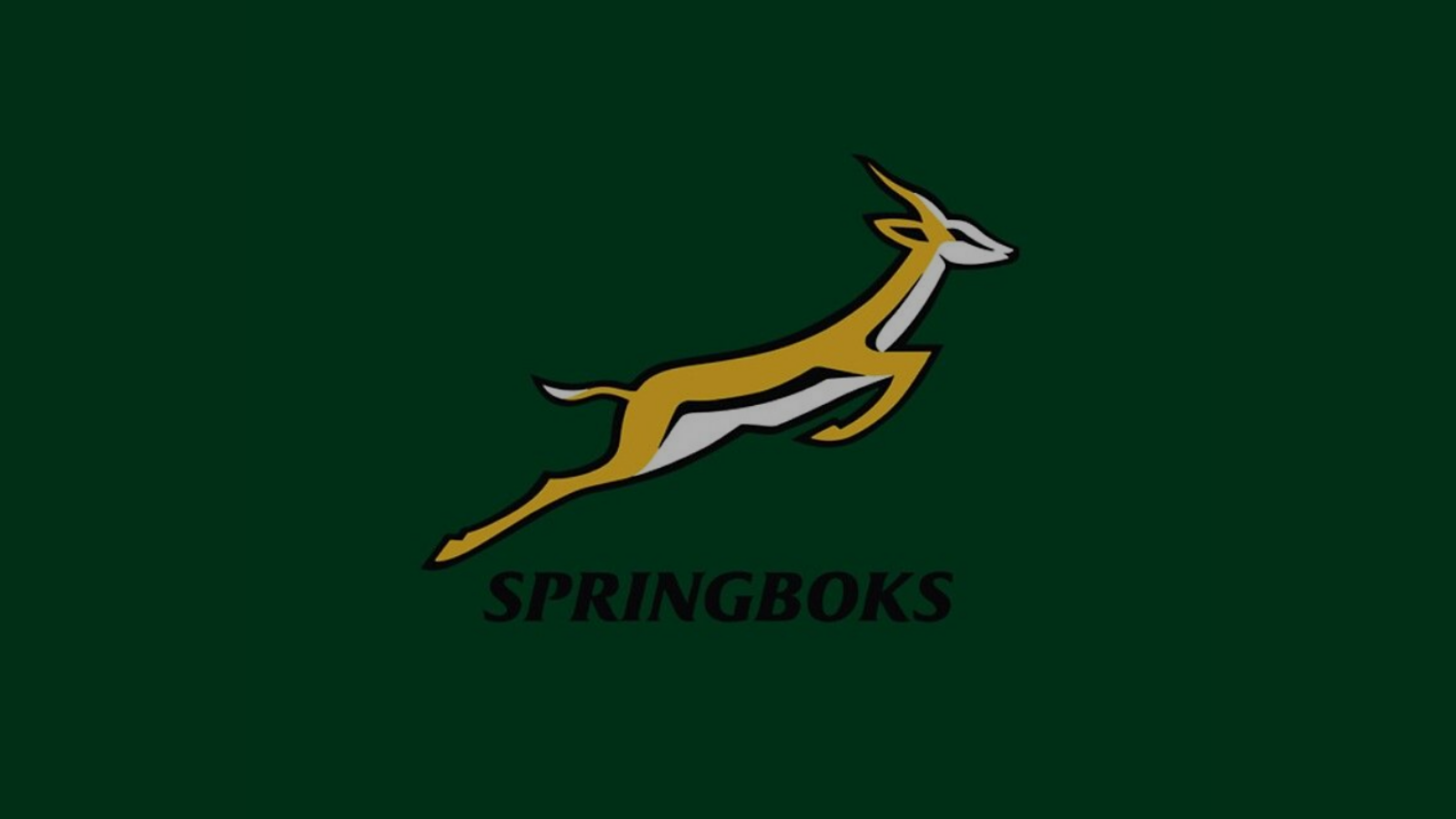 Posters Springboks South Africa Rugby | Aesthetic Posters