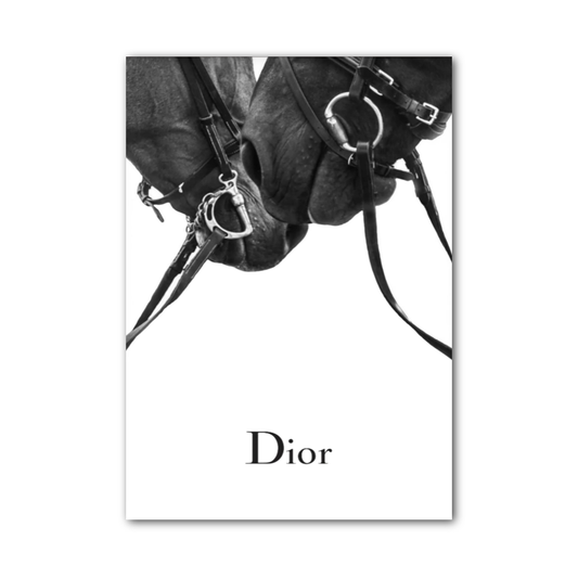 Poster Dior Chevaux
