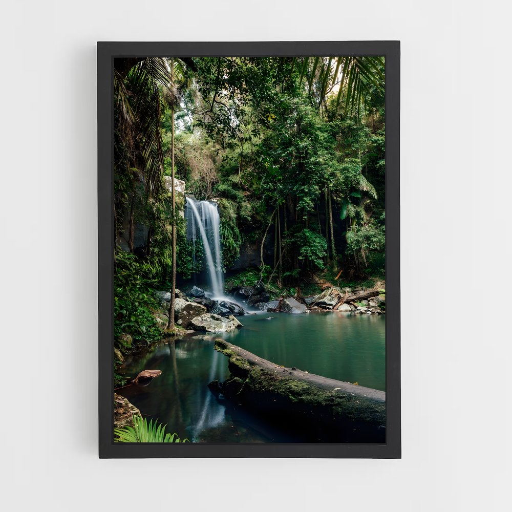 amazonia-1 cadre Noir