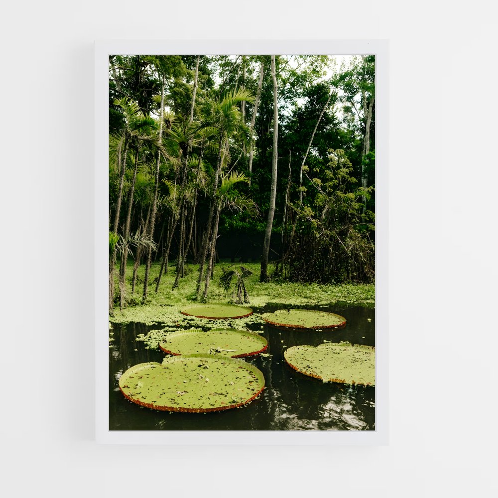 amazonia-10 cadre Blanc