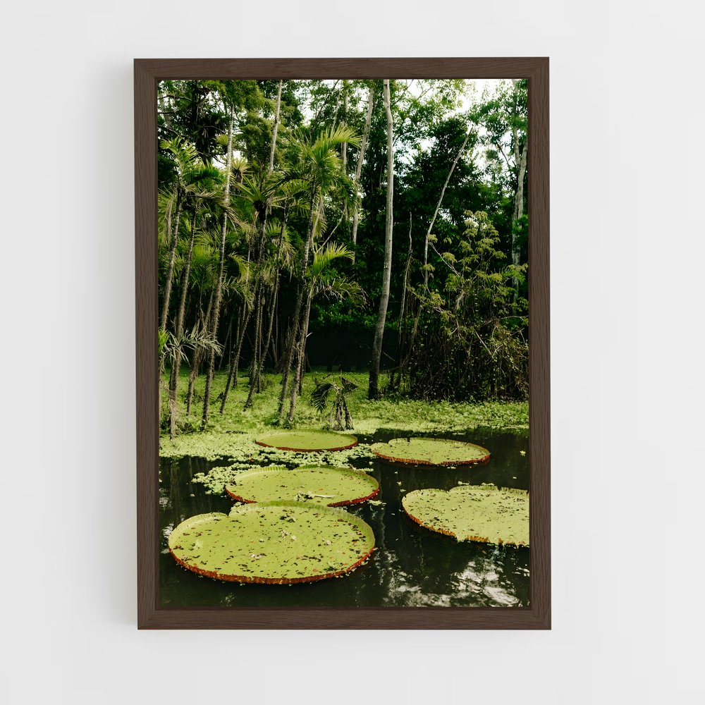 amazonia-10 cadre Bois foncé