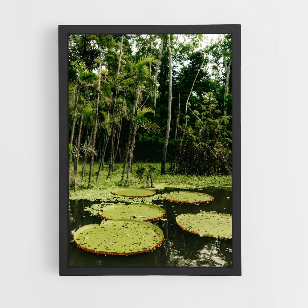 amazonia-10 cadre Noir