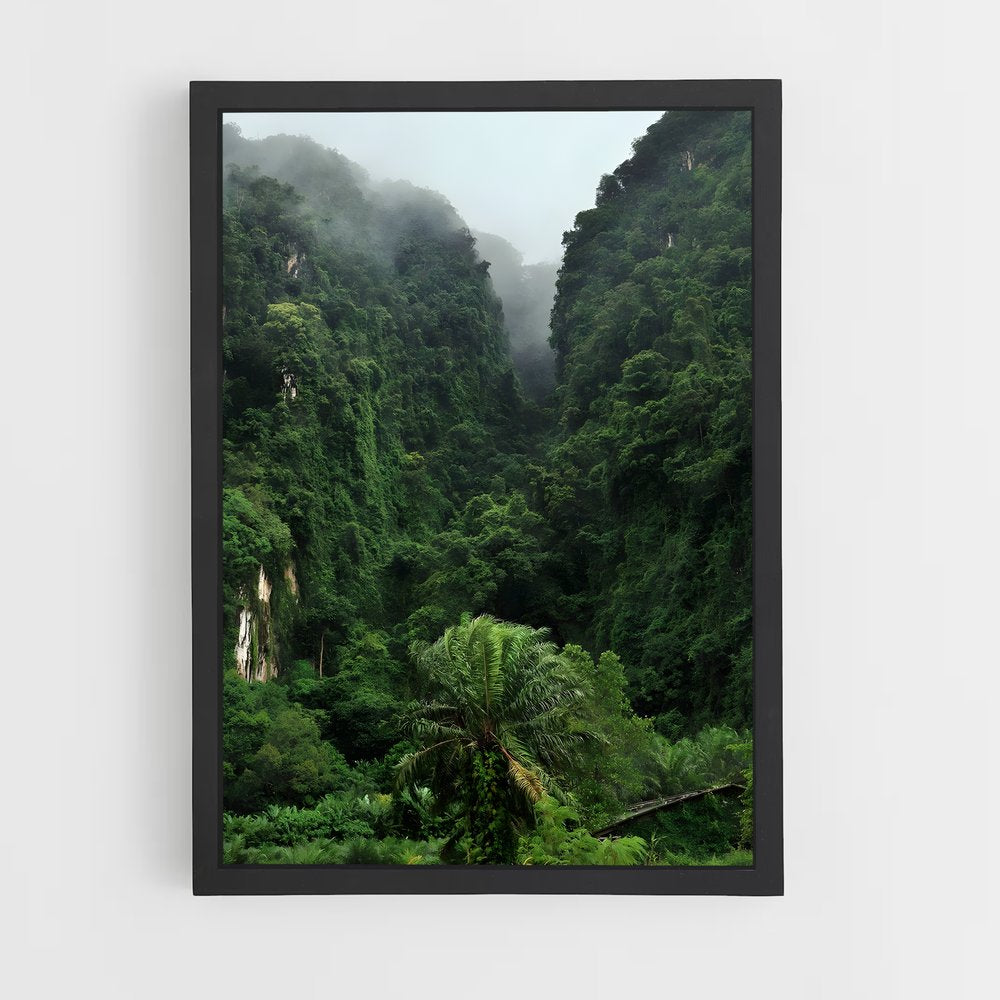 amazonia-13 cadre Noir