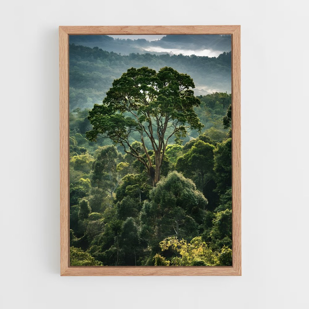 amazonia-15 cadre Bois clair