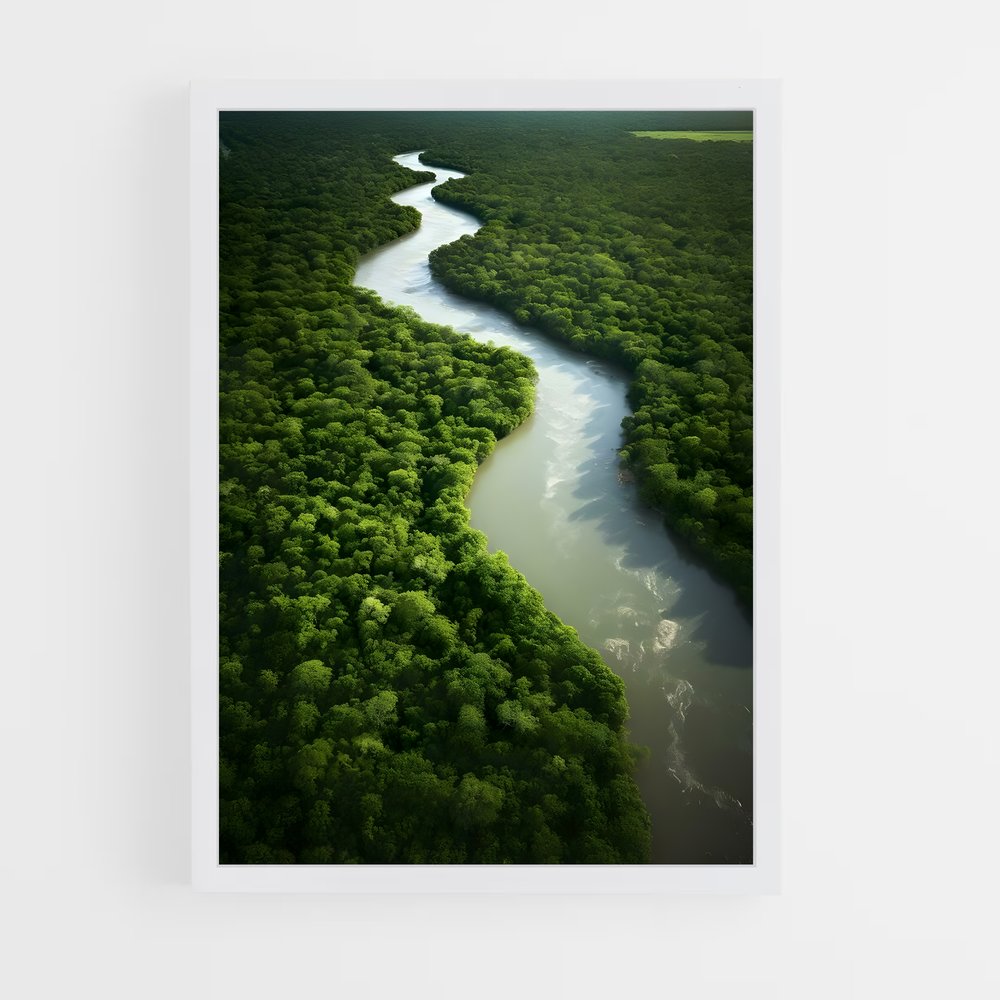 amazonia-16 cadre Blanc