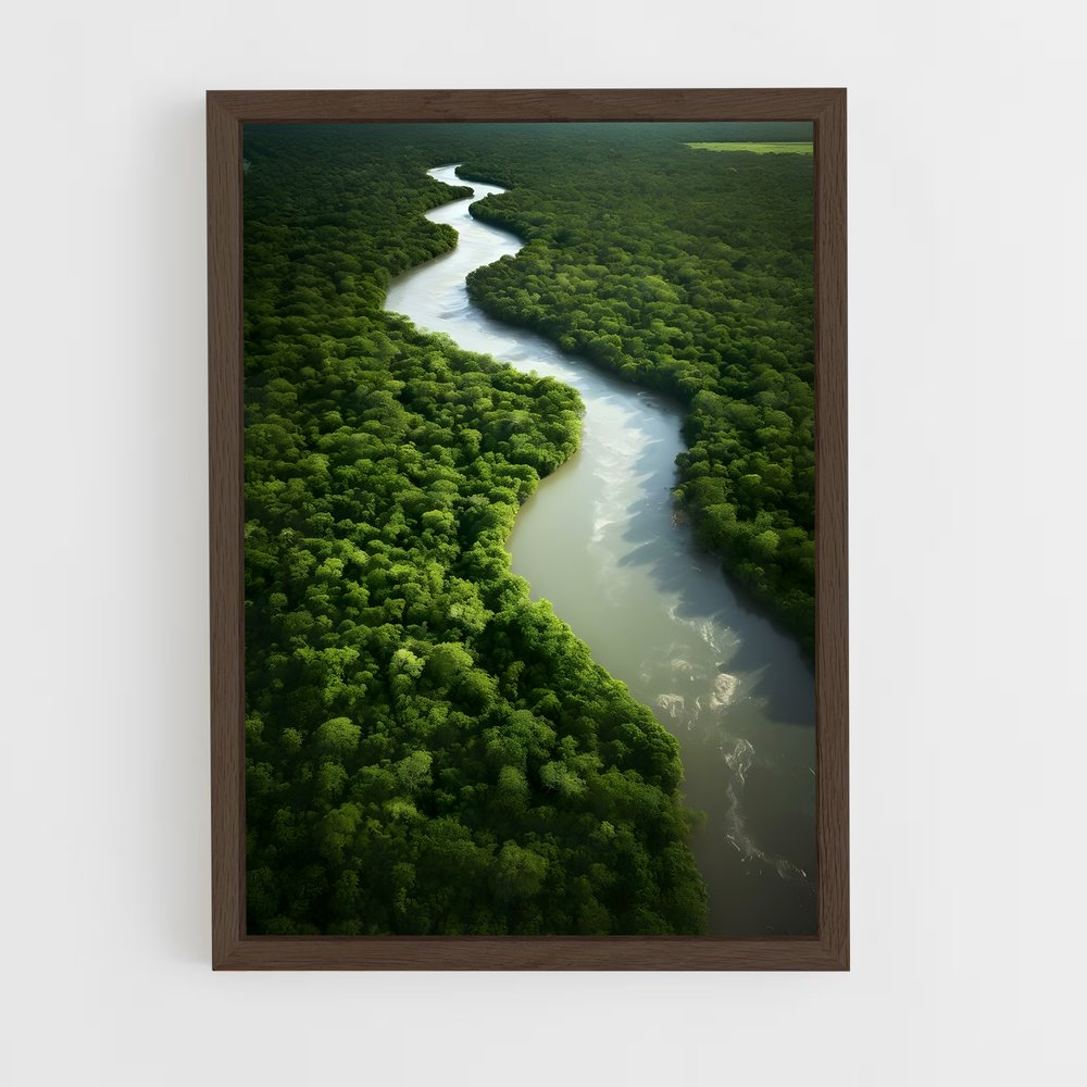 amazonia-16 cadre Bois foncé