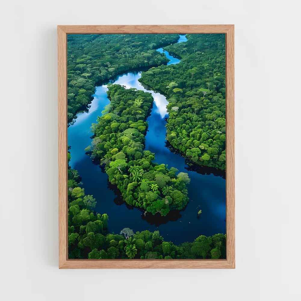 amazonia-2 cadre Bois clair