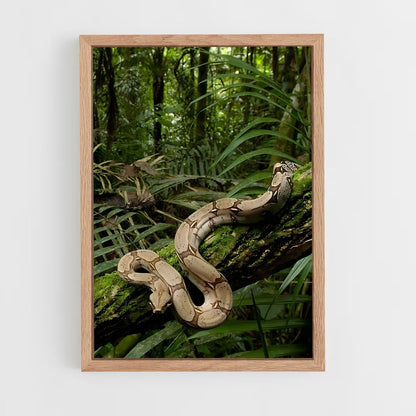 amazonia-4 cadre Bois clair