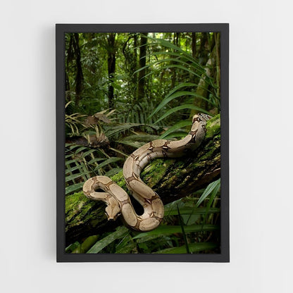 amazonia-4 cadre Noir