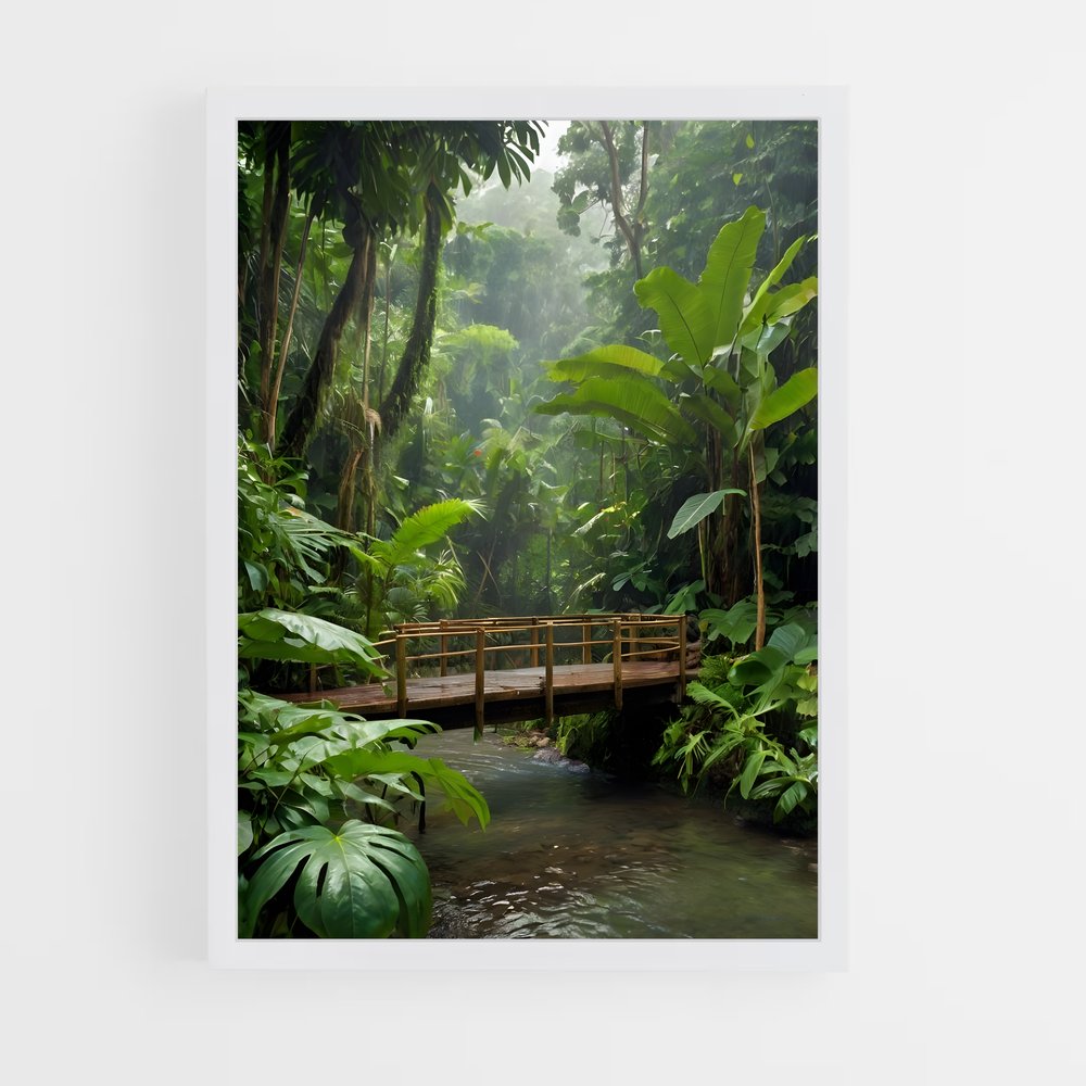 amazonia-7 cadre Blanc