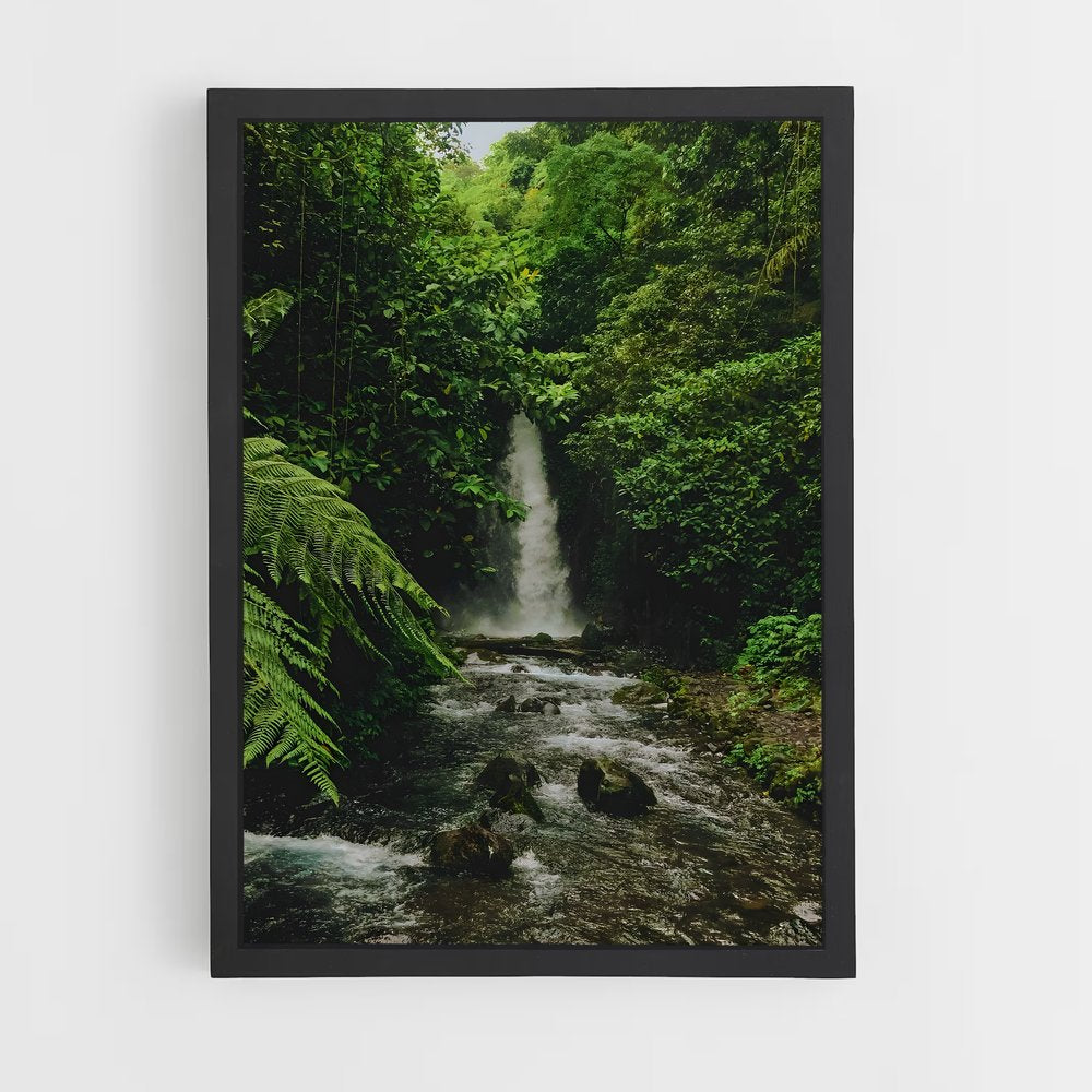 amazonia-9 cadre Noir