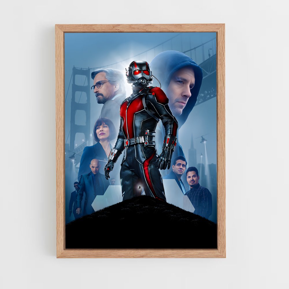 antman-1 cadre Bois clair