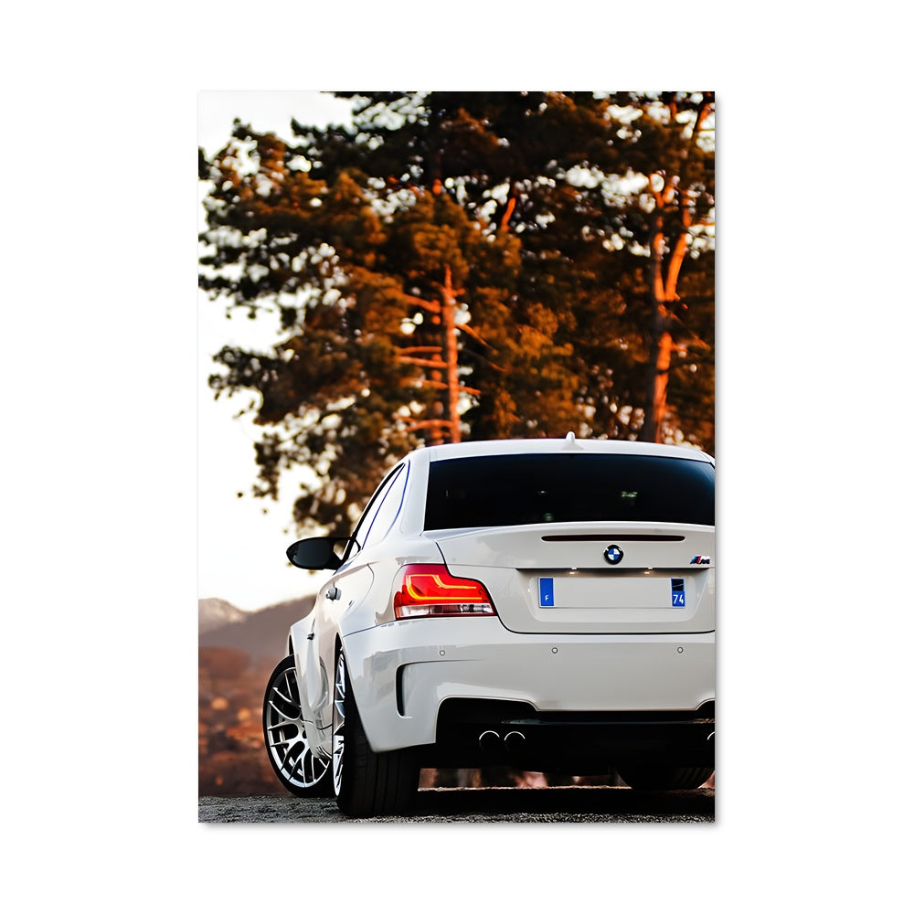 Poster 1m coupe 76300