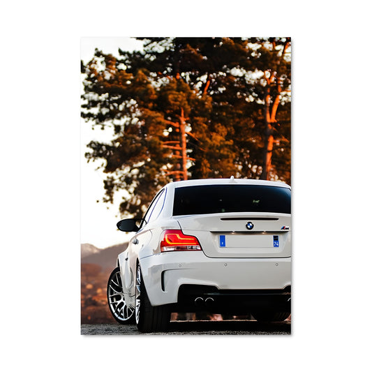 Poster 1m coupe 76300