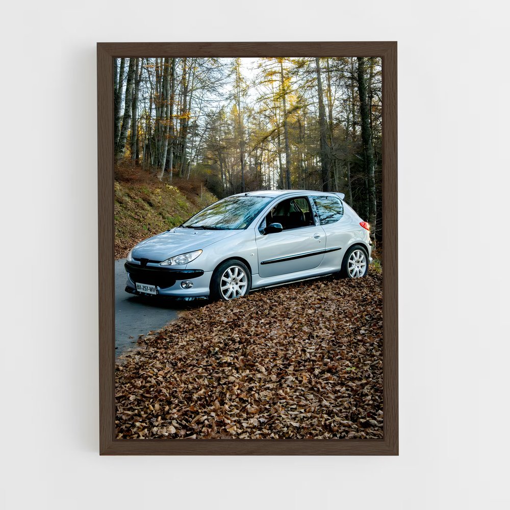 ap-206 s16-1 cadre Bois foncé