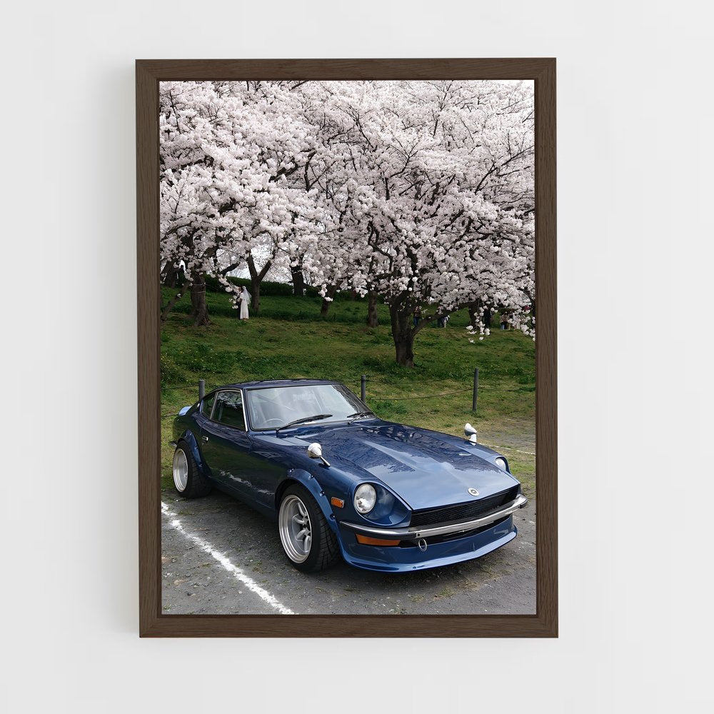 ap-240z-2 cadre Bois foncé