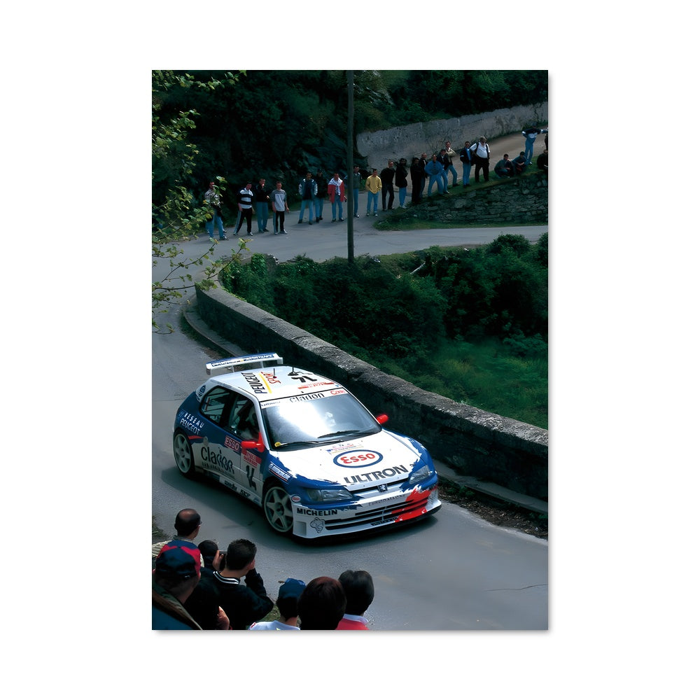 Poster Rallye en Folie