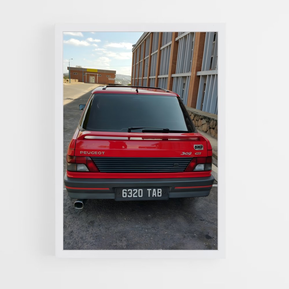 ap-309 gti-1 cadre Blanc